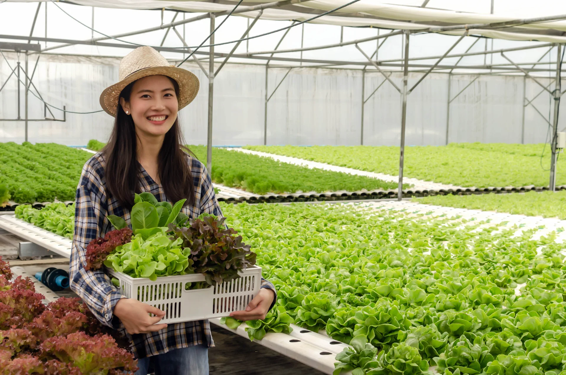 어여비주말농장